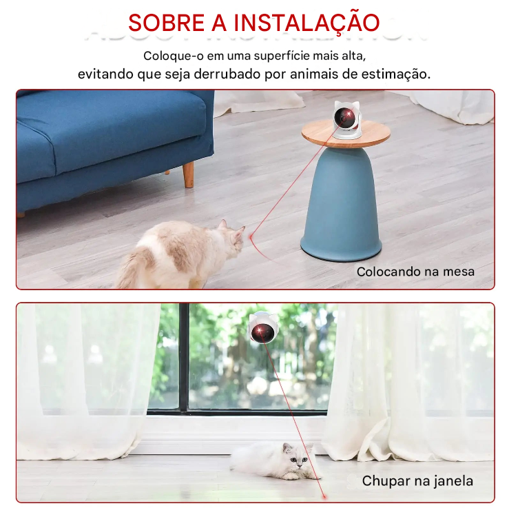 Laser automático para pet